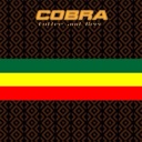 Flipboard profile picture for @COBRA