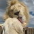 Flipboard profile picture for @bod