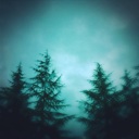 Flipboard profile picture for @mellon