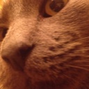 Flipboard profile picture for @Lalla