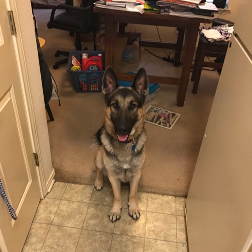 Avatar - Gregg Beavers