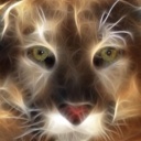 Flipboard profile picture for @Fidelis