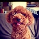 Flipboard profile picture for @valium