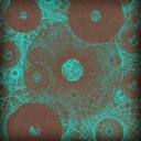 Flipboard profile picture for @coma