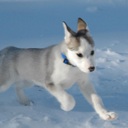 Flipboard profile picture for @Winter