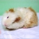 Flipboard profile picture for @Juliet