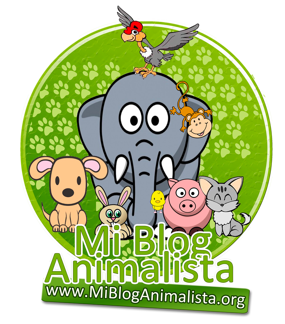 Avatar - Mi Blog Animalista
