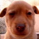 Flipboard profile picture for @musing