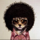 Flipboard profile picture for @monang