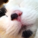 Flipboard profile picture for @captains