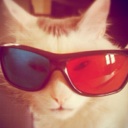 Flipboard profile picture for @Thy