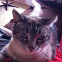 Flipboard profile picture for @feckless