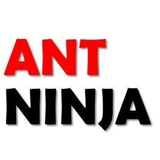 Avatar - Ant Ninja