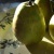 Flipboard profile picture for @Clarify