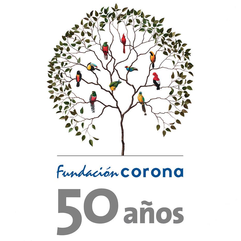 Avatar - Fundación Corona