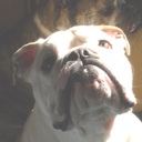 Flipboard profile picture for @Tater