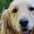 Flipboard profile picture for @Vivian