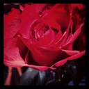 Flipboard profile picture for @quynhanh