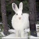 Flipboard profile picture for @snow