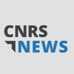 Avatar - cnrsnews