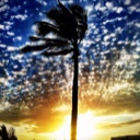 Flipboard profile picture for @rica