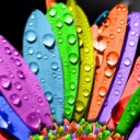 Flipboard profile picture for @wry