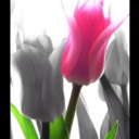 Flipboard profile picture for @Sierra