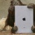 Flipboard profile picture for @Ricochet