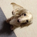 Flipboard profile picture for @noza