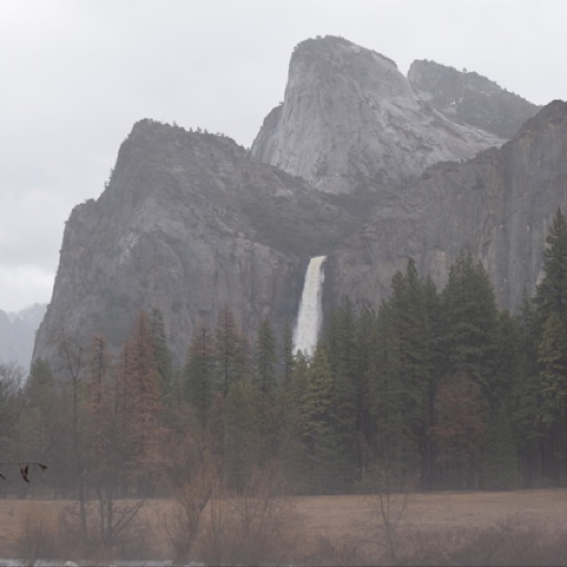 Yosemite Ranger (@yosemiteranger) On Flipboard