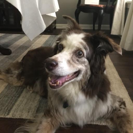 Avatar - meridian williams