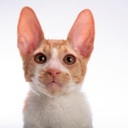 Flipboard profile picture for @debbie