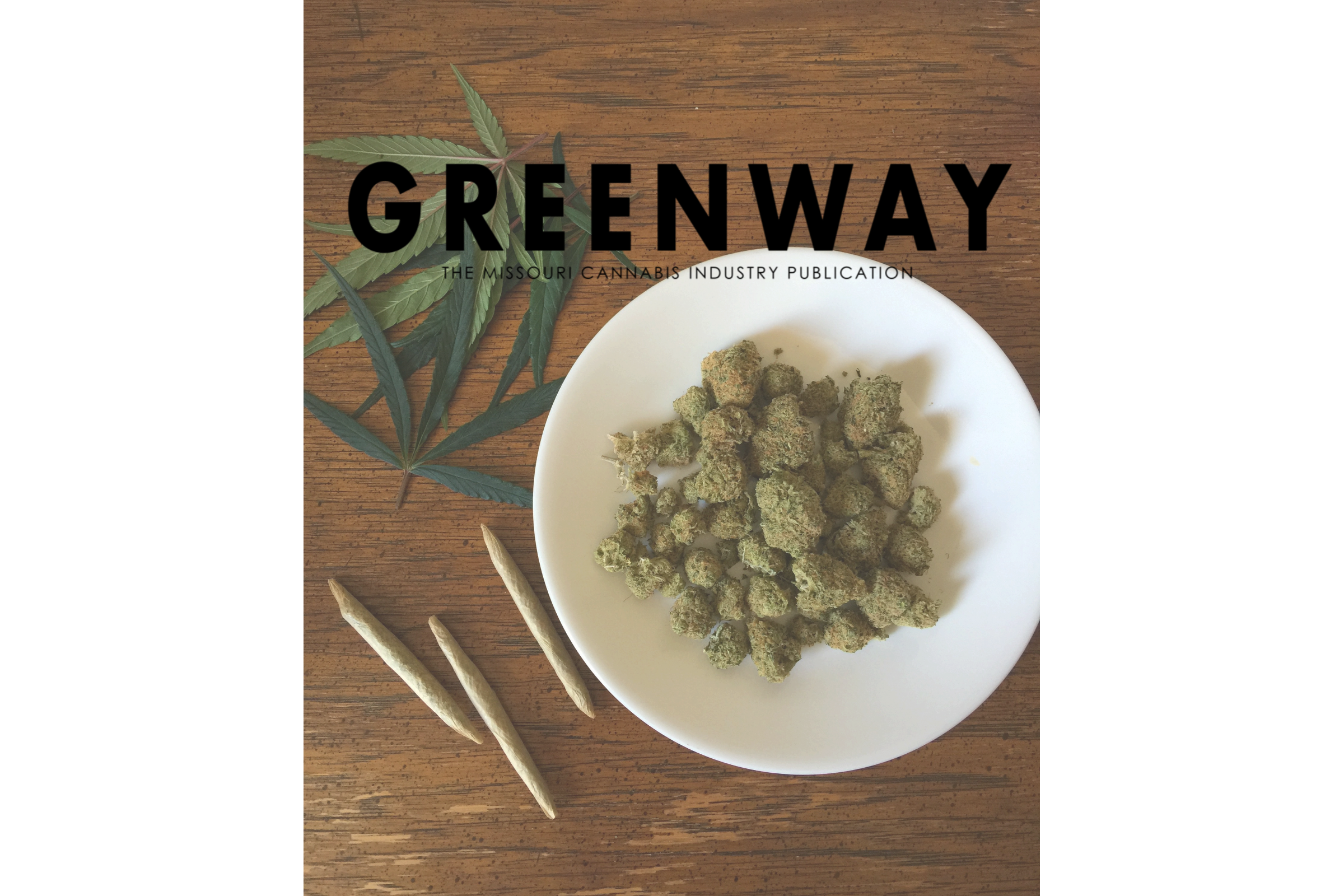 Avatar - Greenway Media