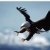Flipboard profile picture for @ENVISION