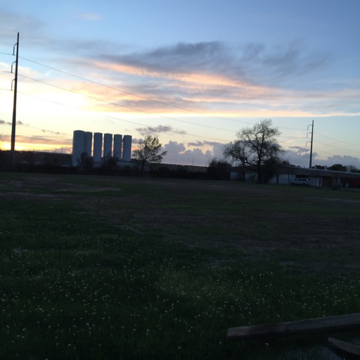 Avatar - Spacecity44