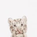 Flipboard profile picture for @SixTeen