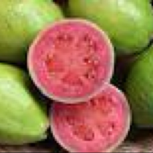 Avatar - Guavared