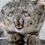 Flipboard profile picture for @Chez