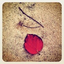 Flipboard profile picture for @garbage