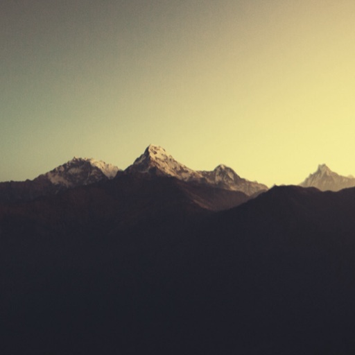 Flipboard profile picture for @fifths