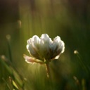 Flipboard profile picture for @tendency