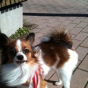 Flipboard profile picture for @mican