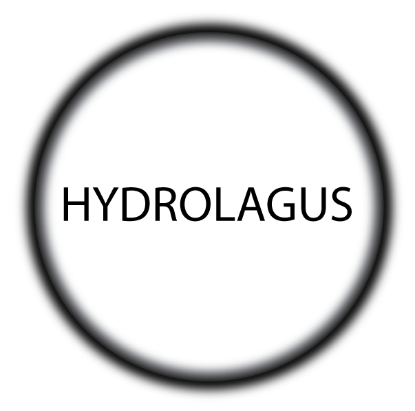 Avatar - Hydrolagus
