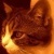 Flipboard profile picture for @byte
