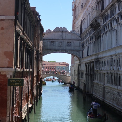 Avatar - Ellie Elizabeth