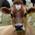 Flipboard profile picture for @Nor