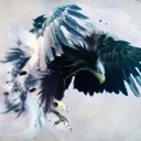 Flipboard profile picture for @FanS