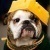 Flipboard profile picture for @Mace