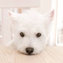 Flipboard profile picture for @Keith