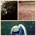 Flipboard profile picture for @danielle